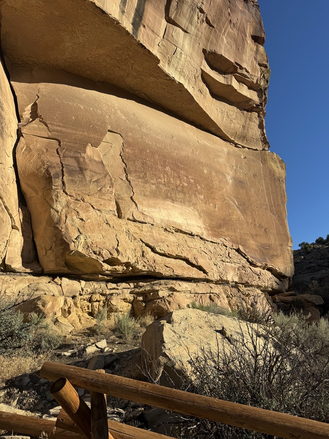 Wide view of Sego Canyon rock wall and rock art site